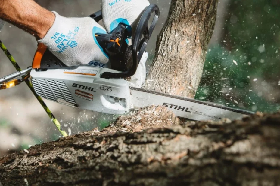 Elagueuse Stihl MS194T